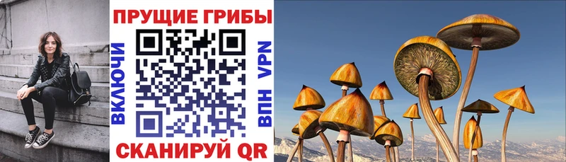 Псилоцибиновые грибы мухоморы  Купить где  Луга 
